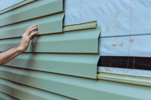 Best Siding Painting and Refinishing  in Shepherdstown, WV